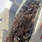 للبيع هايلوكس صندوق هايلوكس غمارتين