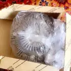 توماتيك مروحه شاص وكاله2016