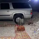 جمس