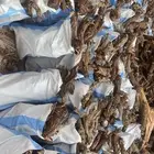 للبيع خياش حجم الخياشه 15 كيلو