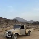 جيب شاص 81