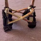 شداد