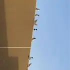سلام عليكم ورحمة الله وبركاته صل على النبي حمام للبيع
