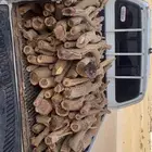على الشرط ناشف اذا تبي نص او كاملة