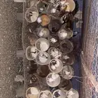 حمام مشكل
