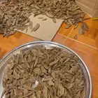 عود مروكي سوبر مرتفع