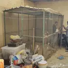 عشة حمام دجاج شبك بقلاوة