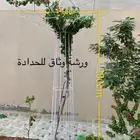 استاندات شجر مزرعه استراحه