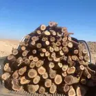 الصندوق للبيع