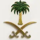 شركة حراسات أمنية