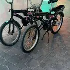 راميو اندنوسي اصلي