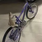 سيكل كوبرا للبيع المرتبه خربانه والكفرات باقي كل شي سليم