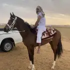 فرس