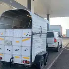 عربه نقل خيل مجهزه اسعار منافسه