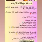 فندقة لحيوانك الأليف