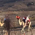 السلام عليكم