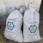 بذر برسيم حساوي