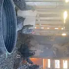 دجاج للبيع