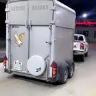 عربه نقل خيل