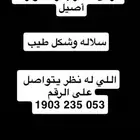 للبيع بكره حوره شكل وسلاله طيبه