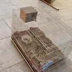 شبك طيور جديد