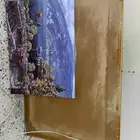 صوره للبيع من قزاز على السوم