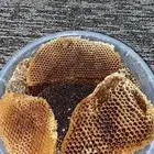 للبيع عسل سدر