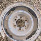 جنوط شنبر