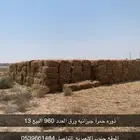اعلاف ذ