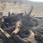 صندوق سياره للبيع