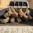 فيبر غماره للبيع شرط سمر