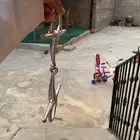 شكمه شبه جديده