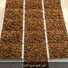 تمر جلكسي للبيع