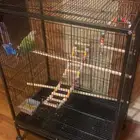 قفص كبير جدا  بسعر طيب