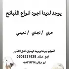 ذبائح