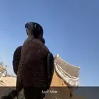 جبليه للبيع