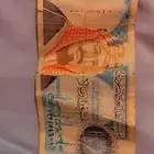 20.