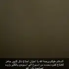 ببغاء كنيور