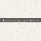 انا ابغى اتبنى حيوانات غير القطط والكلاب والأكثر طيور