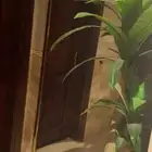 مرايا مدخل كبيره