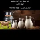 حليب أبقار طازج يوميا  الموقع الزلفي