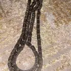 جنزبر ماكينه