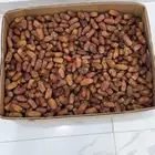 تمر