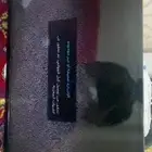 شاشه سمارت