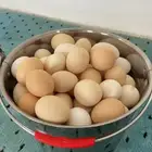 بيض بلدي فاخر من الاخر