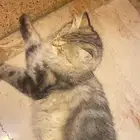 خلف صندوق العجائب