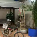 سيكل رابو