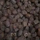 تمور