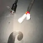 قاطع ( فصال ) انوار ريس على فيش الوكالة بدون تجريح