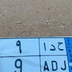 للوحه مميزه للبيع